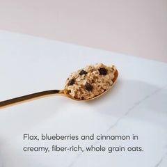 Nature's Path Organic Blueberry Cinnamon Flax Oatmeal