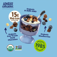 Love Crunch Organic Blueberry Cream Granola