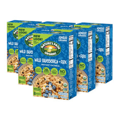 Nature's Path Organic Blueberry Cinnamon Flax Oatmeal