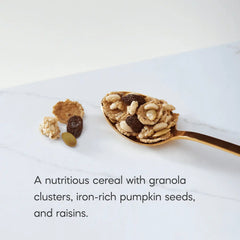 Nature's Path Organic Flax Plus Pumpkin Raisin Crunch Cereal
