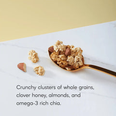 Nature's Path Organic Honey Almond Gluten Free Granola