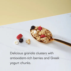 Nature's Path Organic Summer Berries Gluten Free Granola